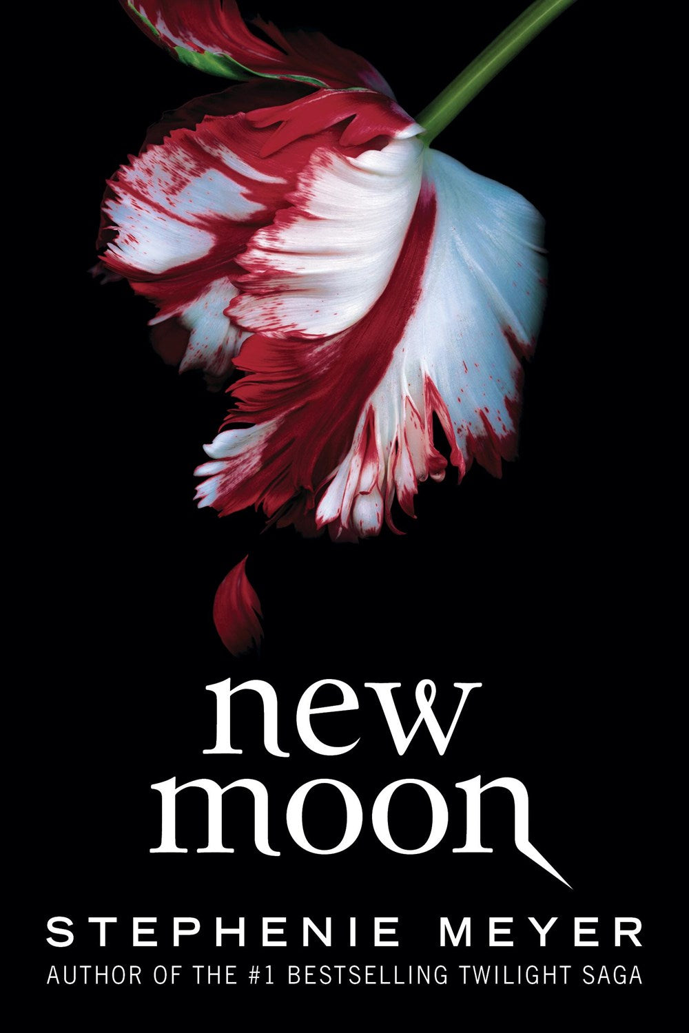 New Moon (New edition)