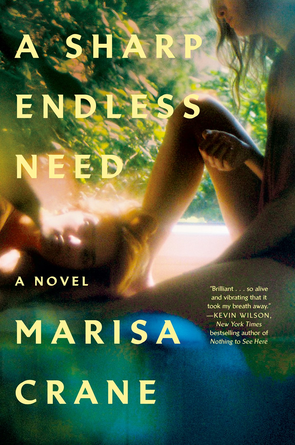 A Sharp Endless Need : A Novel