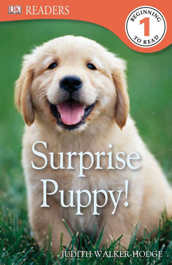 Surprise Puppy!