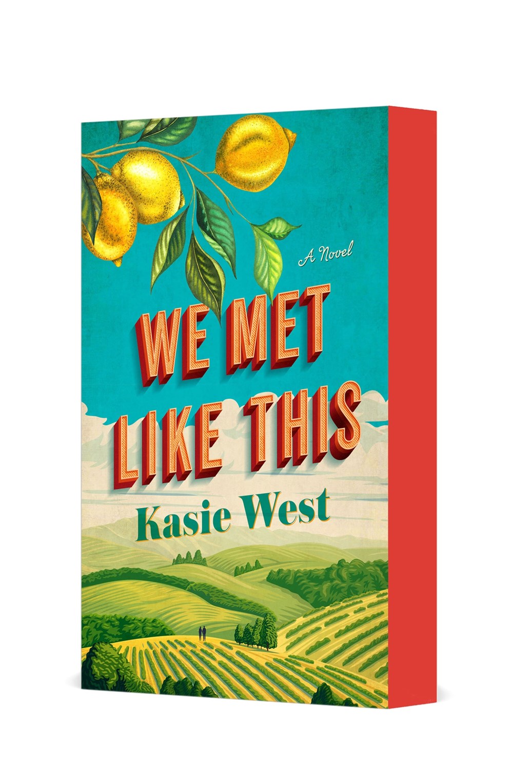 We Met Like This : A Novel