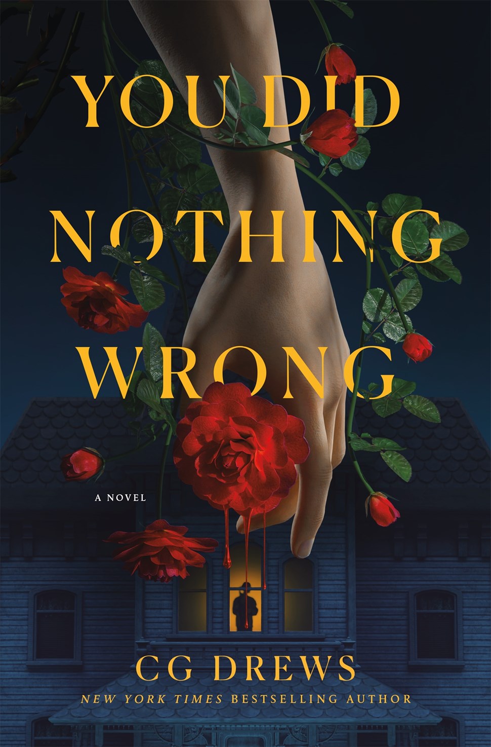 You Did Nothing Wrong: A Novel