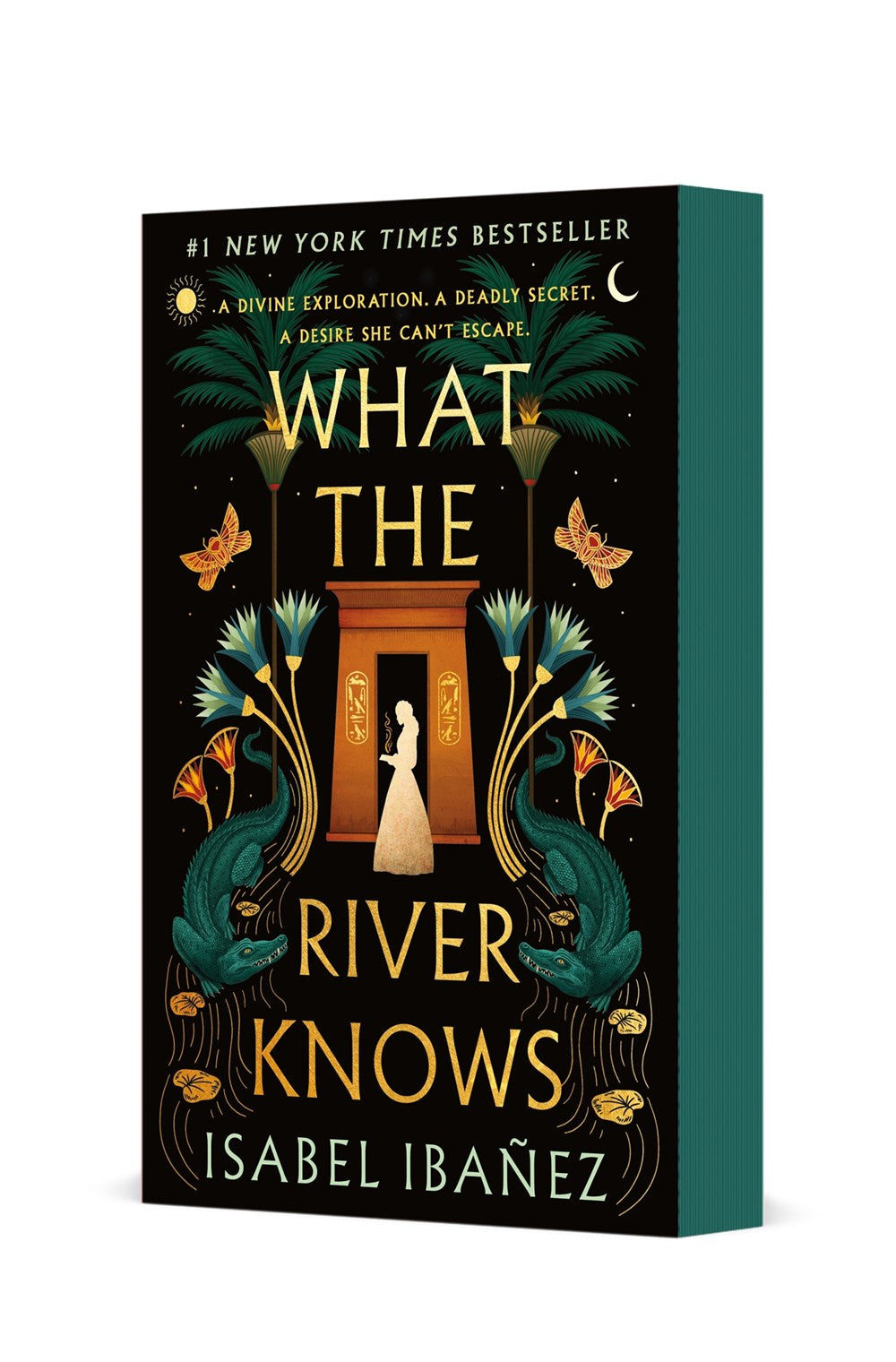 What the River Knows : A Novel