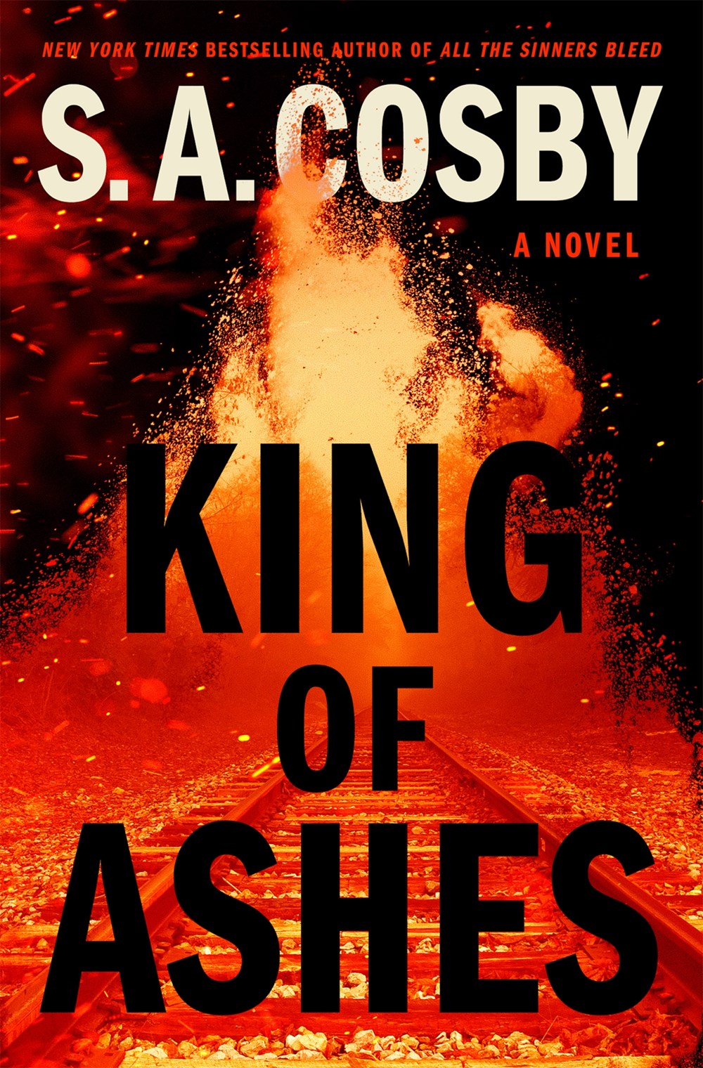 King of Ashes : A Novel