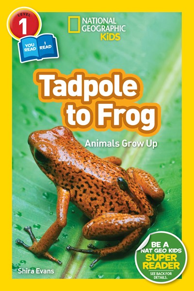 Tadpole to Frog (National Geographic Kids Readers, Level 1/Co-Reader): Animals Grow Up