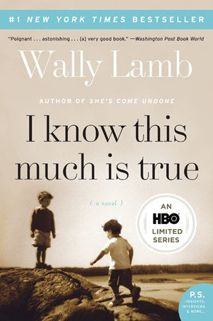 I Know This Much Is True:  A Novel