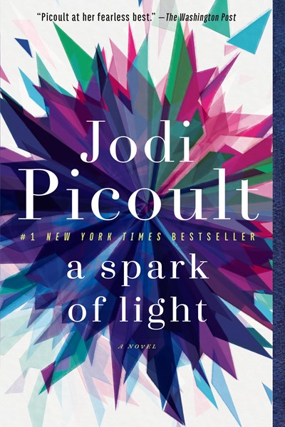 A Spark of Light : A Novel