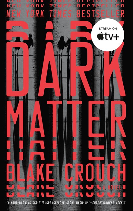 Dark Matter:  A Novel