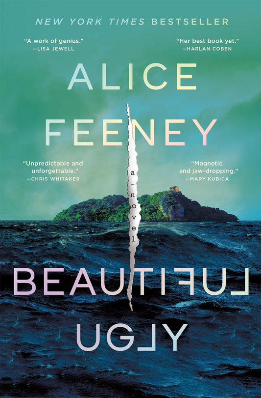 Beautiful Ugly : A Novel