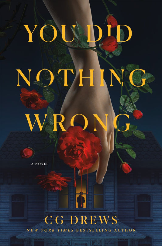 You Did Nothing Wrong:  A Novel