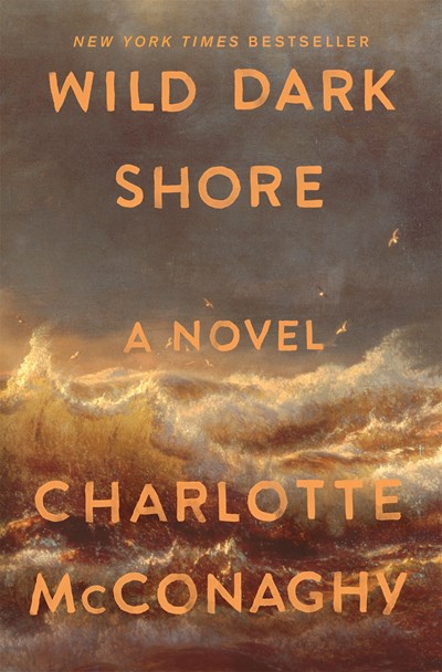 Wild Dark Shore : A Novel