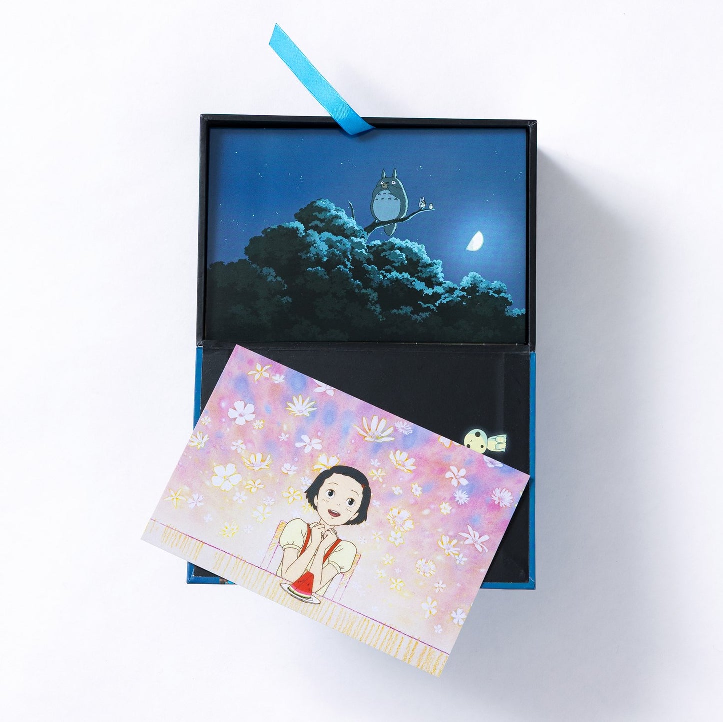 Studio Ghibli: 100 Collectible Postcards : Final Frames from the Feature Films (1984-2014)