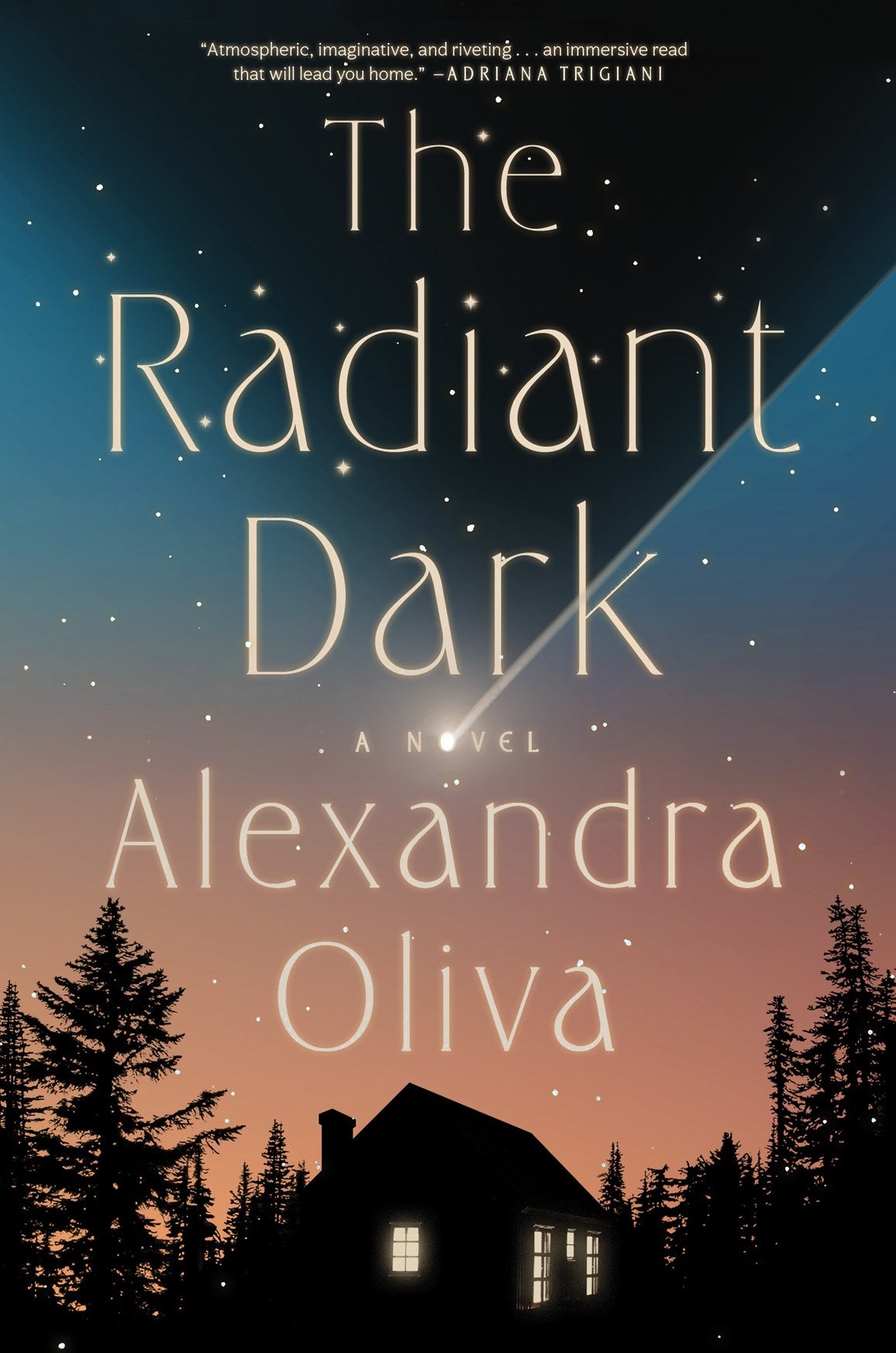 The Radiant Dark: A Novel