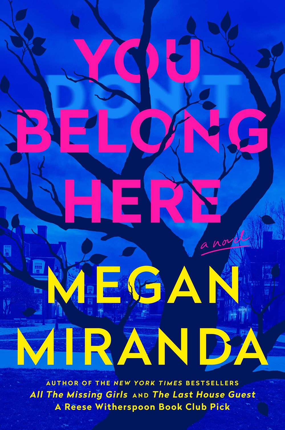 You Belong Here : A Novel